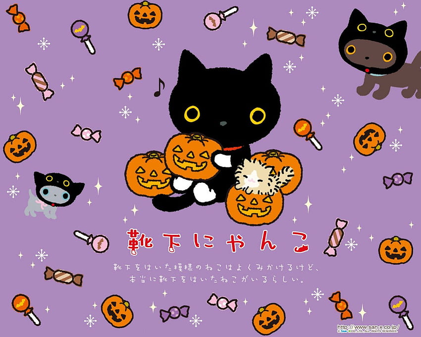 Kutusito Nyanko, Black, Nyanko, San-X, Cute, Purple, Kutusito, Halloween, Cat, Kawaii, Pumpkin HD тапет