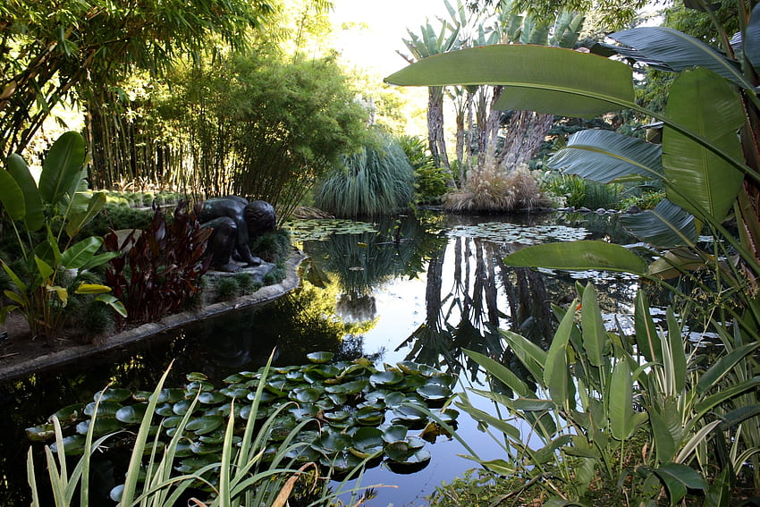 Природа, листа, водни лилии, растителност, статуя, езерце HD тапет