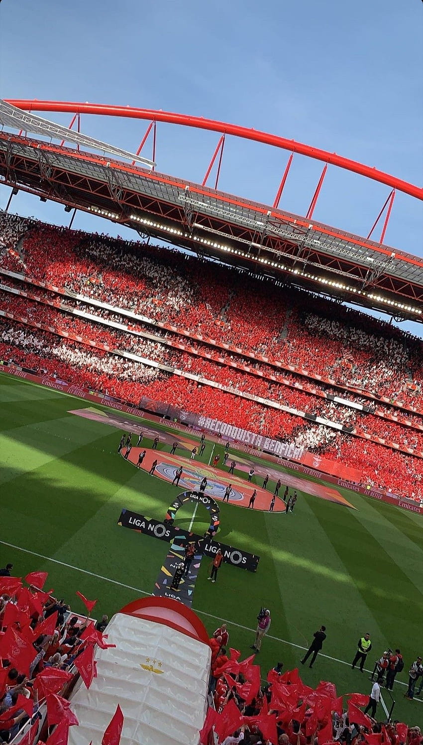 Estádio da Luz. Sport lisboa e benfica, Benfica , Estádio da luz, Estadio Da Luz Fond d'écran de téléphone HD