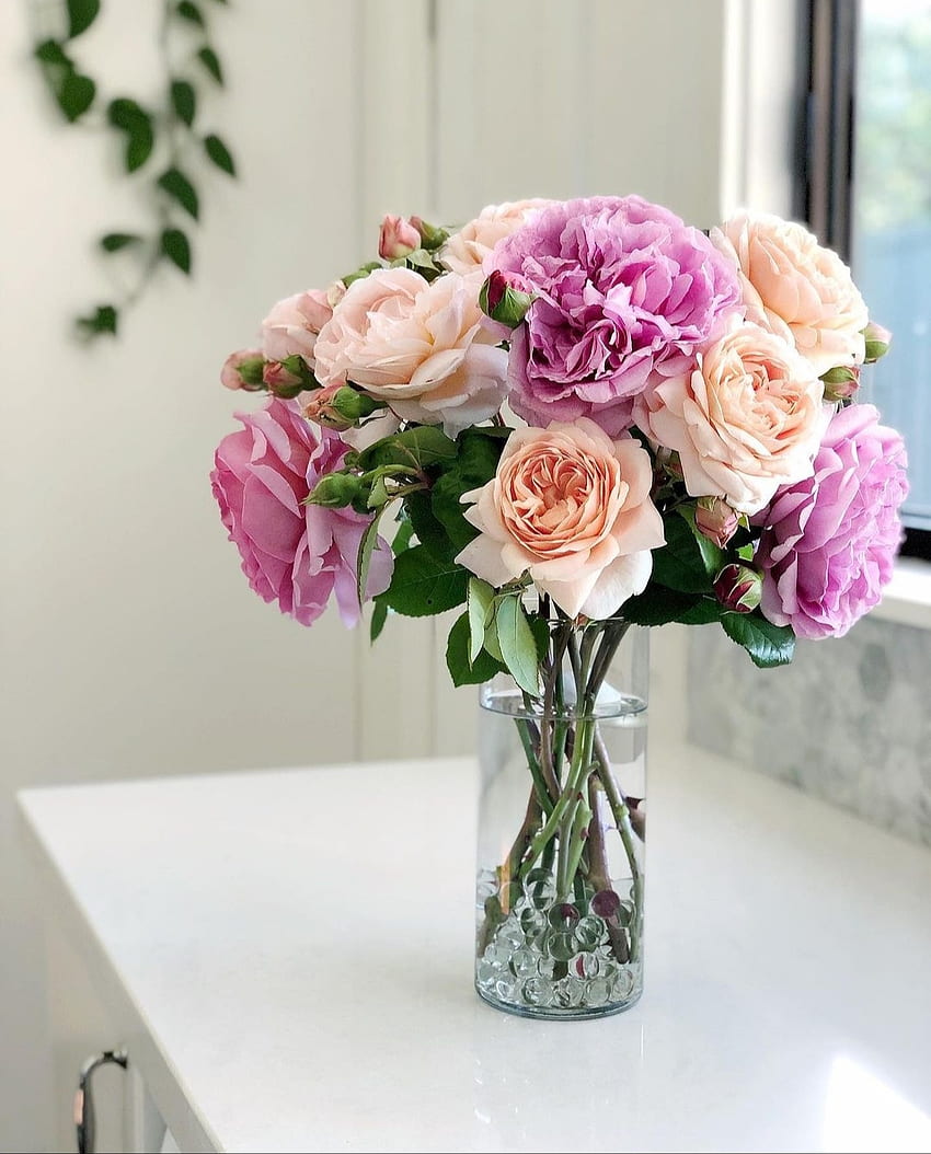 Roses, roz, petale HD phone wallpaper