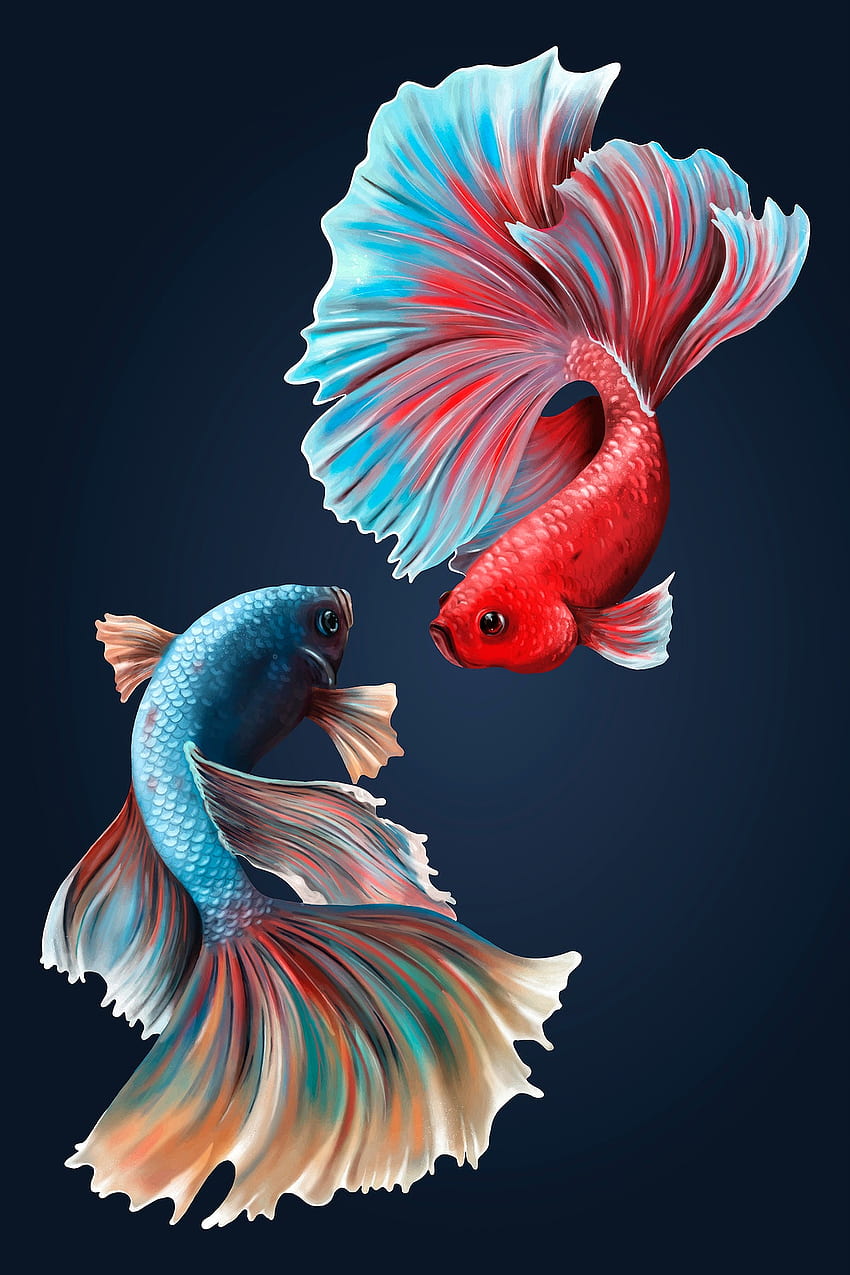 Ikan cupang dengan latar belakang biru tengah malam. Vektor saham royalti wallpaper ponsel HD