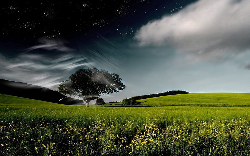 Fantasy, Sky, Stars, Night, Clouds, Wood, Tree, Day, Vortex HD wallpaper