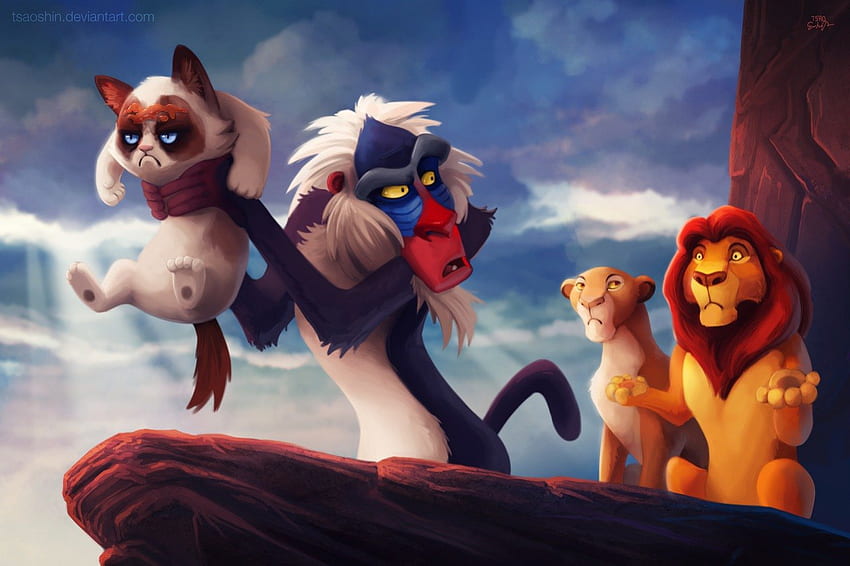 El rey león confundido, rey león, dibujos animados, divertido, tonto fondo de pantalla