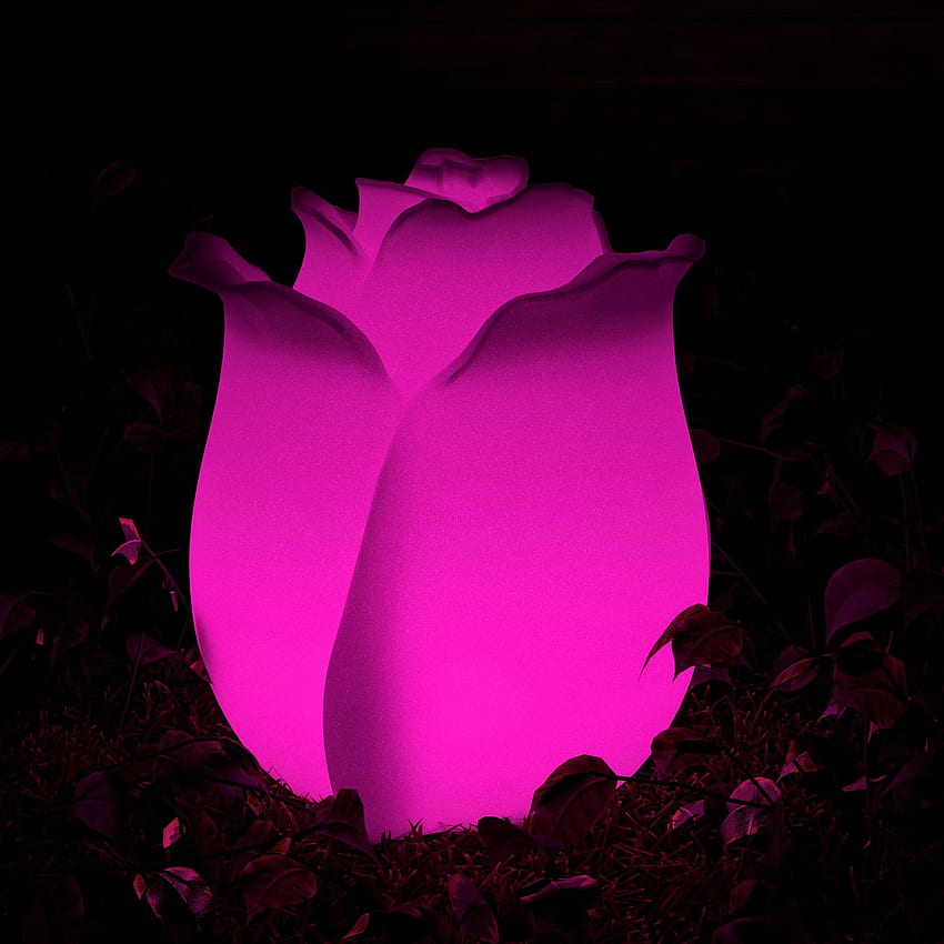 Night Glow Outdoor Rose Sculpture With Multi Colored Light And Remote