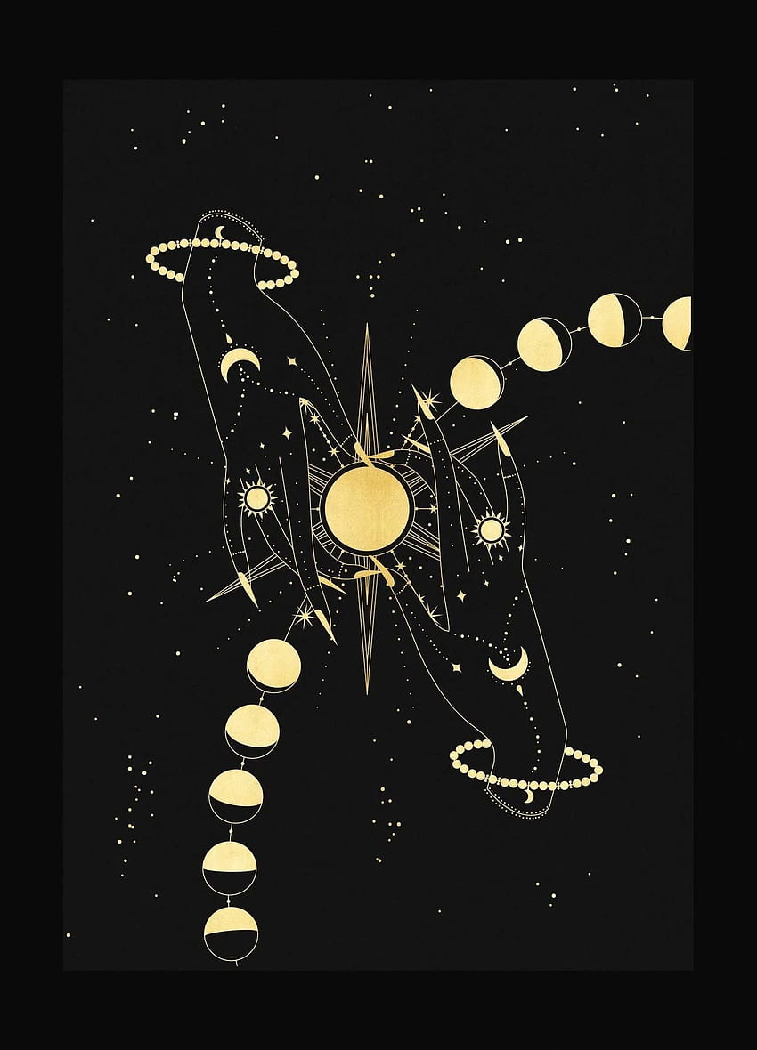 Hayley Rose dengan warna abu-abu + kulit hitam. Seni astronomi, seni Bulan, simbol Dewi, iPhone Dewi wallpaper ponsel HD
