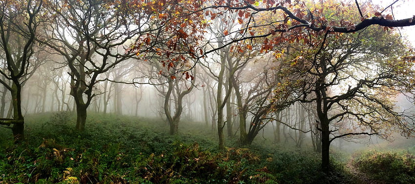 Hiking Y Fâl in South Wales in Heavy Fog, Welsh Countryside HD wallpaper