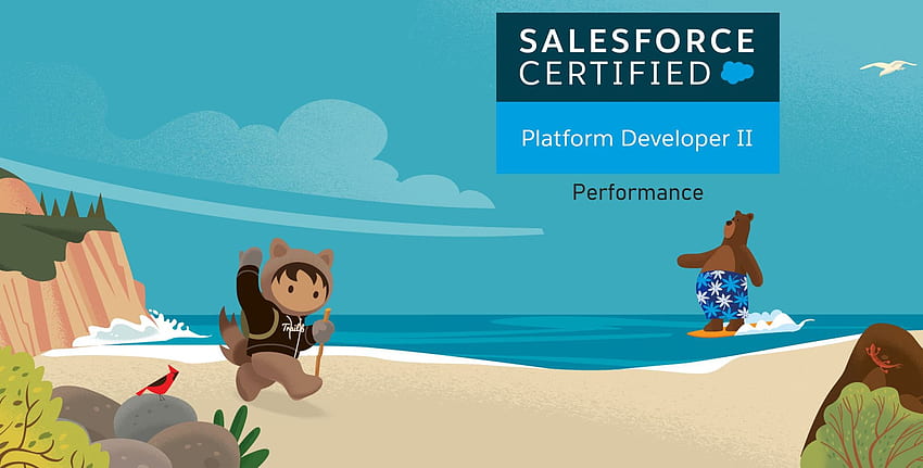 Salesforce Platform Dev II Przygotowanie do egzaminu: wydajność Tapeta HD