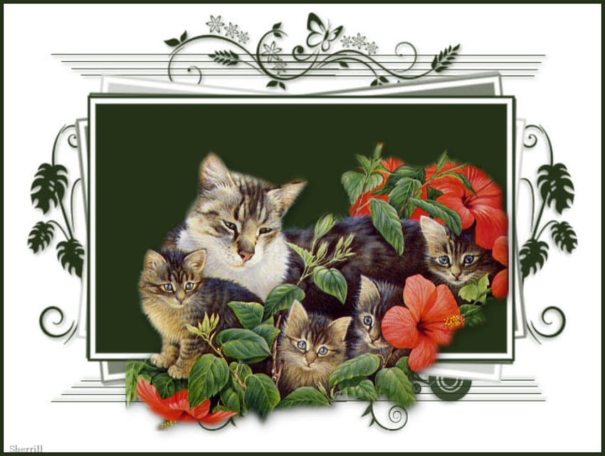 gatos em verde, família, verde, mamãe gata, gato, gatinhos papel de parede HD