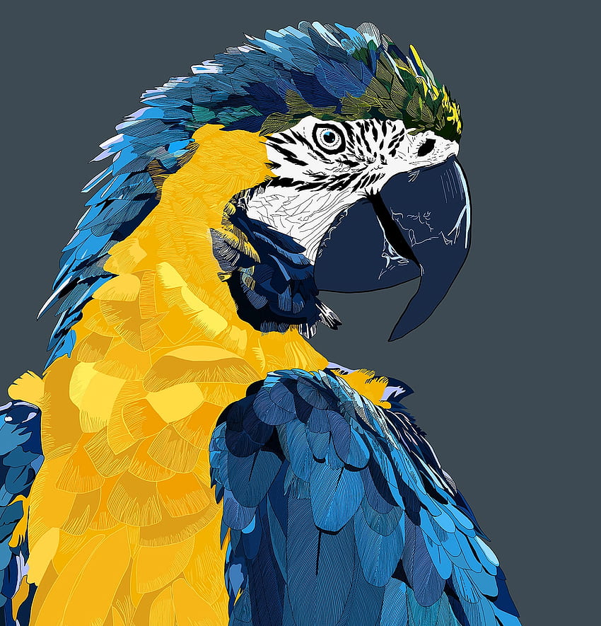 Art, Animals, Parrots, Bird, Macaw HD phone wallpaper