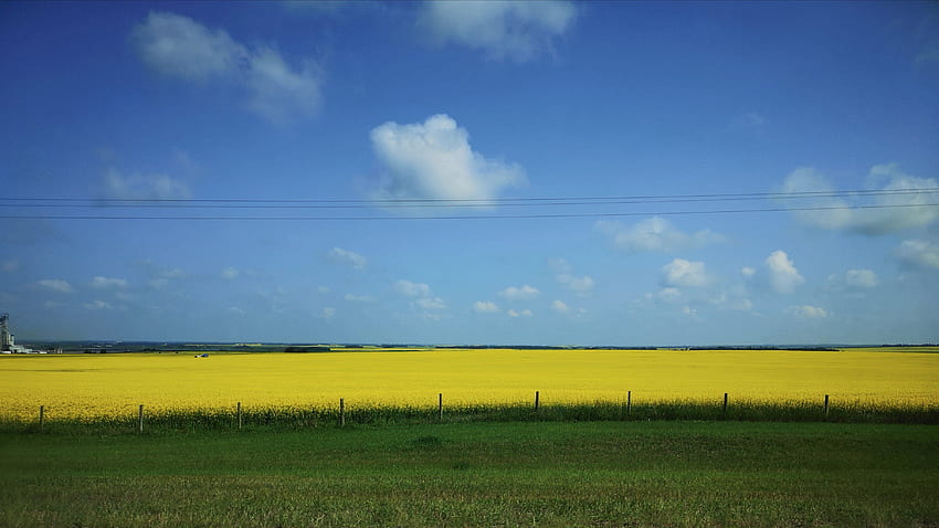 Western Canadian Prairie, Prairie Landscape HD wallpaper