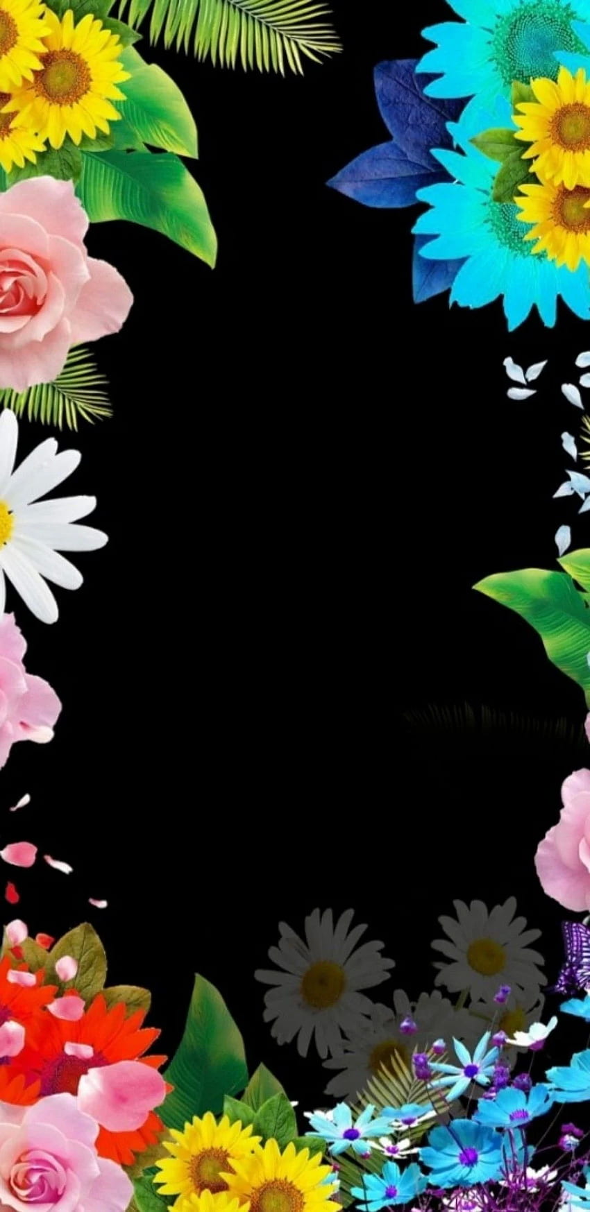 Schwarze und bunte Blumen. Blumige, florale, bunte Blumen HD-Handy-Hintergrundbild