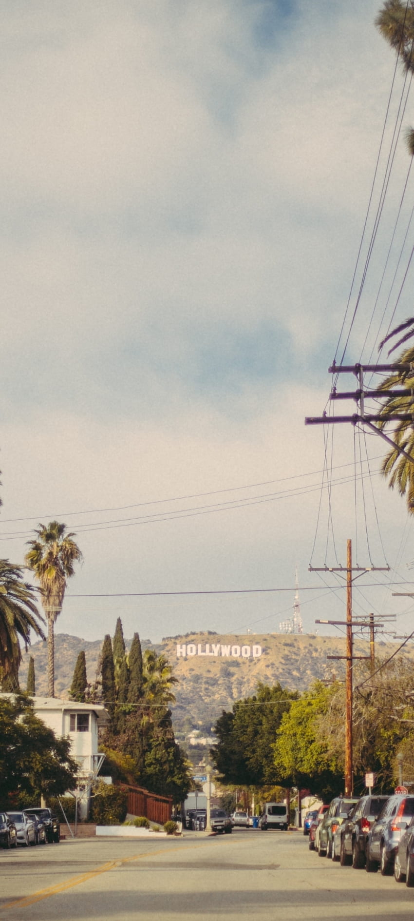 hollywood, road, trees Resolution , Nature , , and Background, Hollywood Street HD phone wallpaper