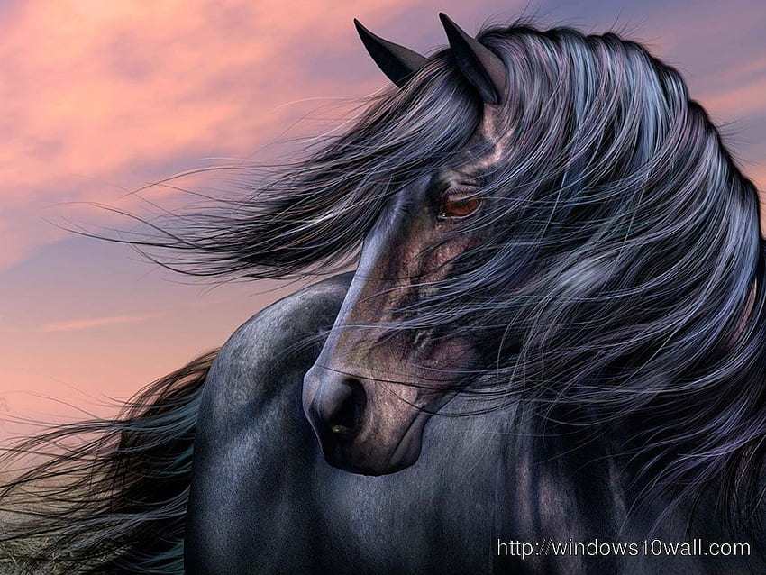 Horse Wallpapers: Free HD Download [500+ HQ] | Unsplash