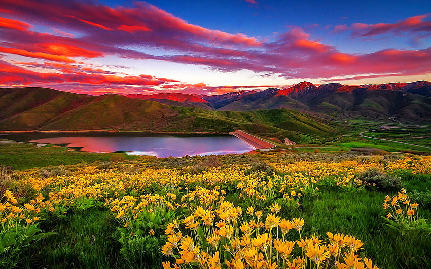East Canyon Yellow Balsomroot Sunset、カラフル、美しい、春、山、湖、夏、野生の花、国立公園、空、日没 高画質の壁紙