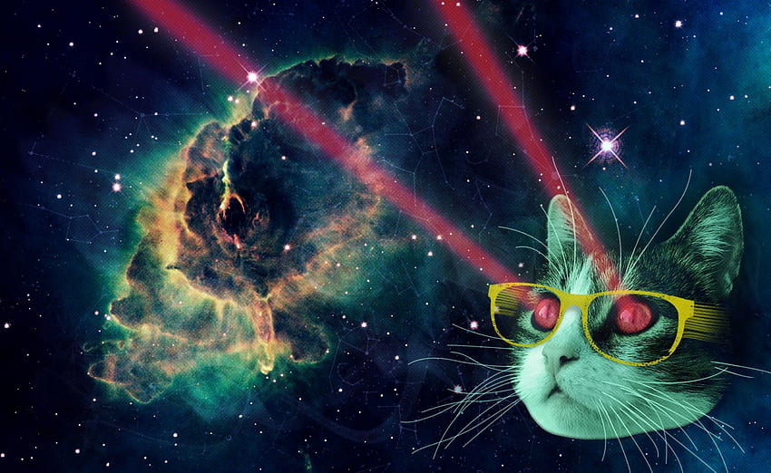 Space is scary, Space Cat HD wallpaper