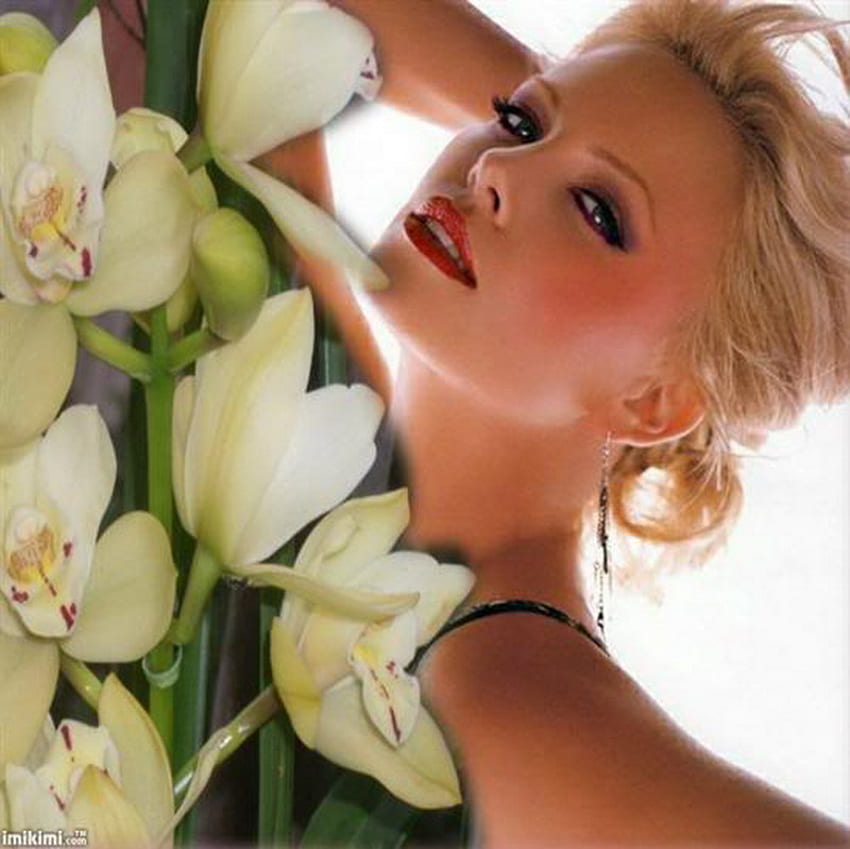 orchidea piękna, orchidea, biały, blond, piękność Tapeta HD