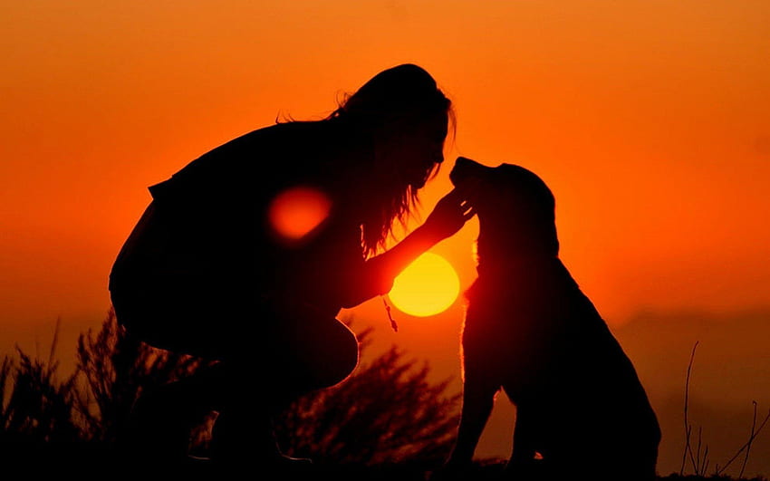 the, Sky, Dog, Silhouettes, Sunset, The, Sun, Girl / and Mobile 배경 HD 월페이퍼