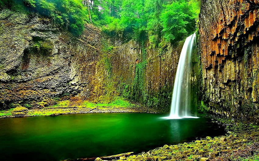 Raj dżungli. Grafika wodospadu, wodospad, wodospad lasu Tapeta HD