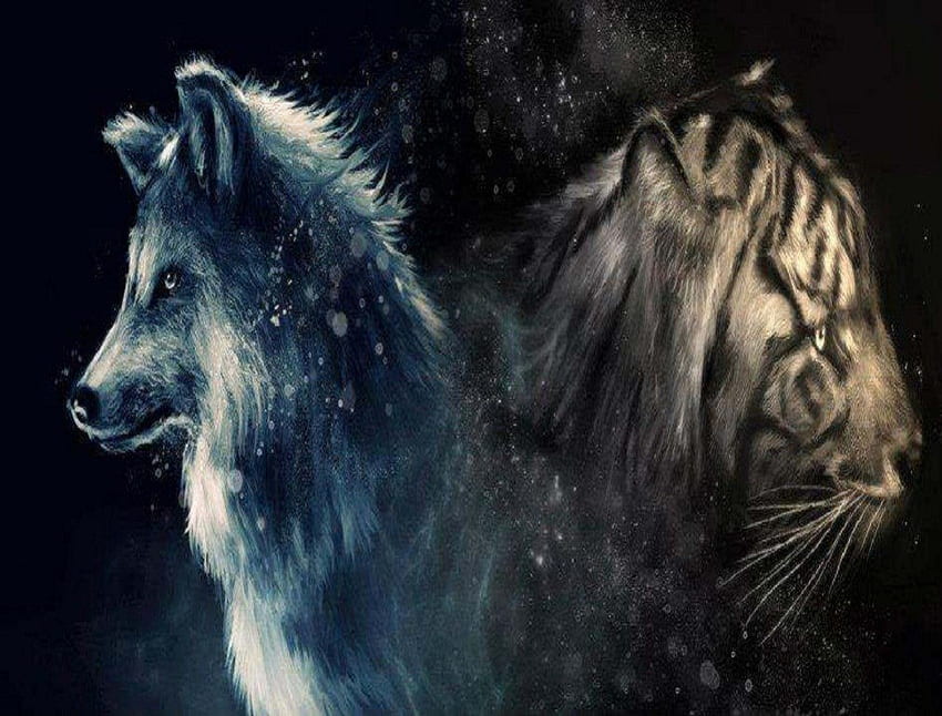 Wolf And Tiger, resumo, tigre, fantasia, animais, lobo papel de parede HD