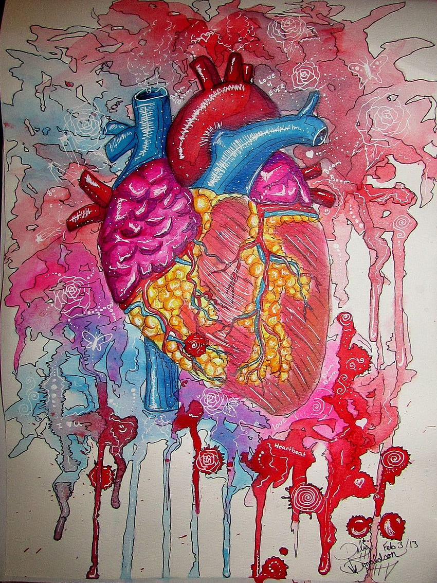 Anatomia człowieka dla anatomicznego serca Tapeta na telefon HD