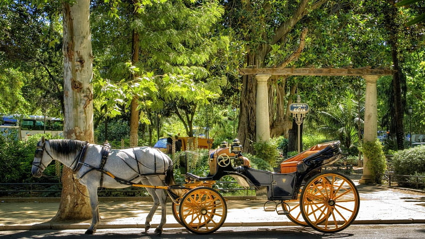 przejażdżka konna i bryczką po parku w sewilli w hiszpanii, ulica, koń, bryczka, park Tapeta HD