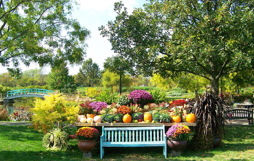 Autumn in the Park, river, bench, plants, sidewalk, park, pumpkins, benches, bridge, trees, flowers, water HD wallpaper
