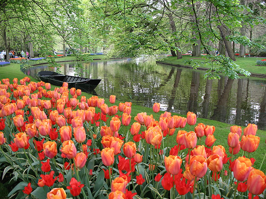 Park Flowers Gaeden, arte, bouth, bella, tulipani, parco, riflessione, rosso, alberi, fiori giardino, acqua Sfondo HD