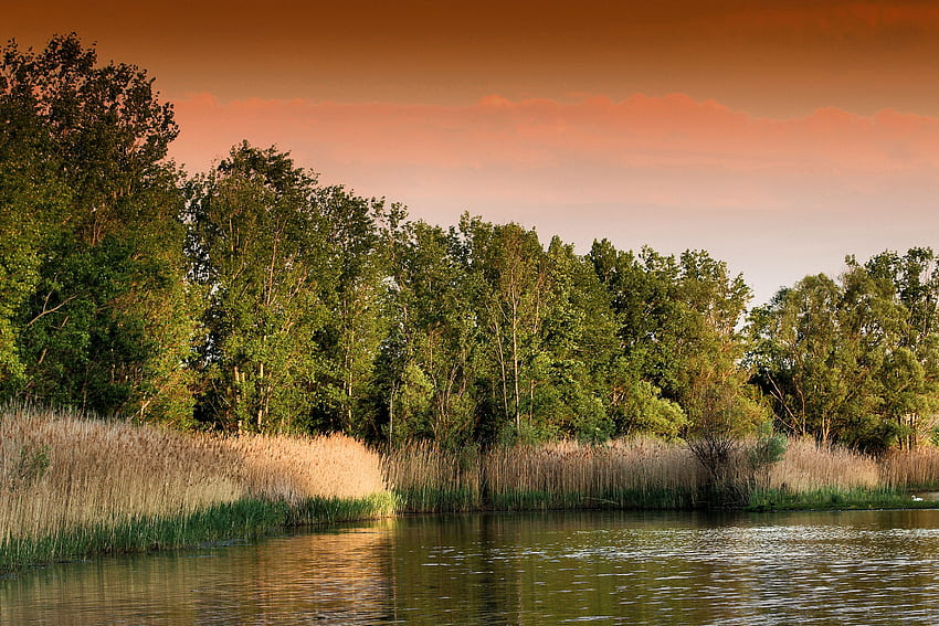 Nature, Trees, Sunset, Grass, Lake HD wallpaper | Pxfuel