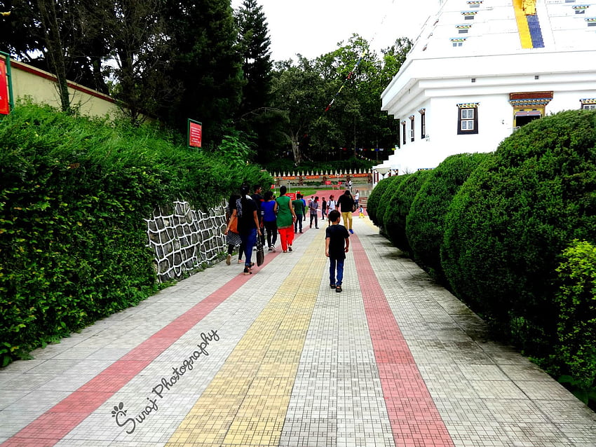Dehradun - Buddha Temple -의 평화로운 장소. 장소. 여행하다 HD 월페이퍼