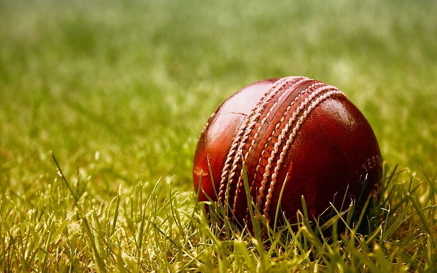 Cricket para iPhone - New Cricket, Cool Cricket papel de parede HD