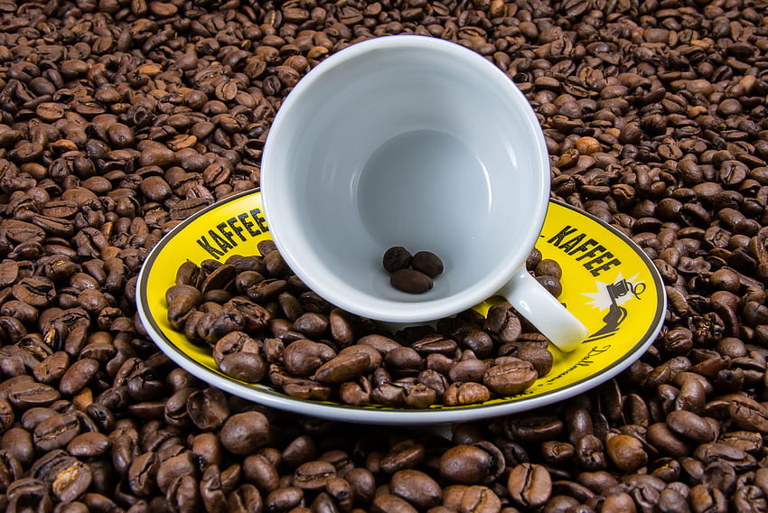 Food, Coffee, Cup, Coffee Beans HD wallpaper