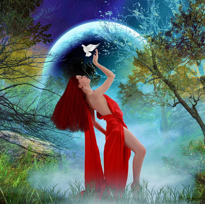 ★RED GLAMOUR★, glamour, grasses, colors, atmosphere, fantastic, animals, trees, female, Tinca2, sweet, bird, gorgeous, eyes, rocks, fantasy, pretty, face, nature, models, lovely, colorful, cute, digital art, white dove, lips, dove, hairs, beautiful, people, red, love, manipulation, cool, girls, women, splendor HD wallpaper