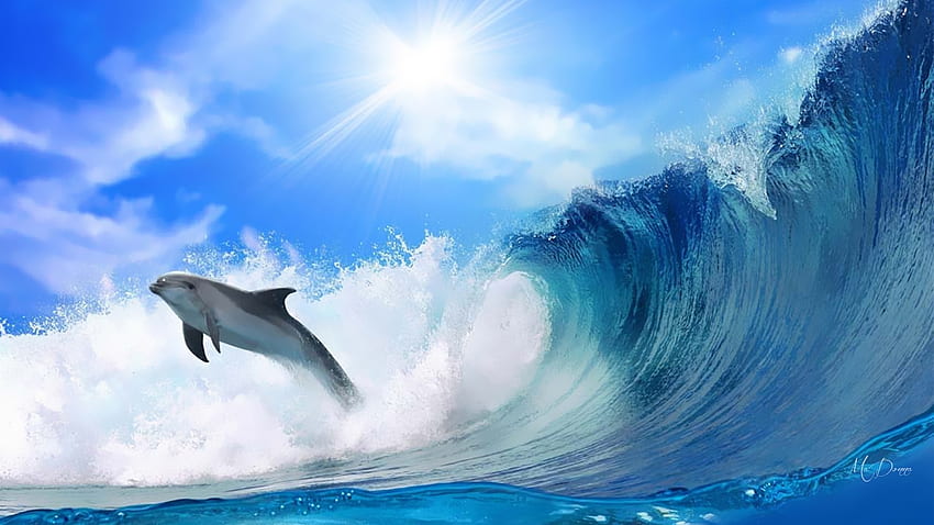 Sörf Yunusu, deniz, güneş ışığı, gökyüzü, yunus, dalga, sörf HD duvar kağıdı