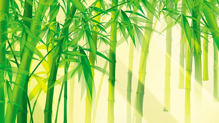 Bamboo Forest , Bamboo Forest, Ultra Forest HD wallpaper | Pxfuel