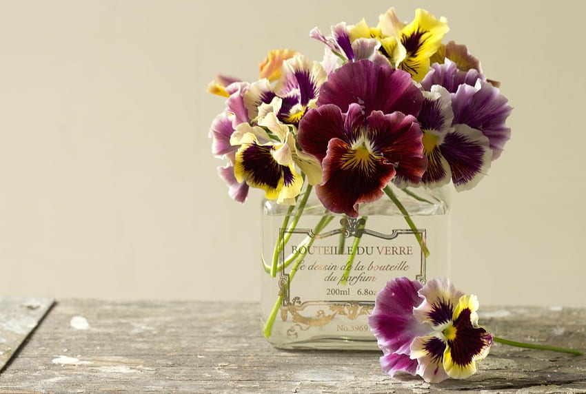 Blumen, Stiefmütterchen, Bank, Blumenstrauß, Glas HD-Hintergrundbild