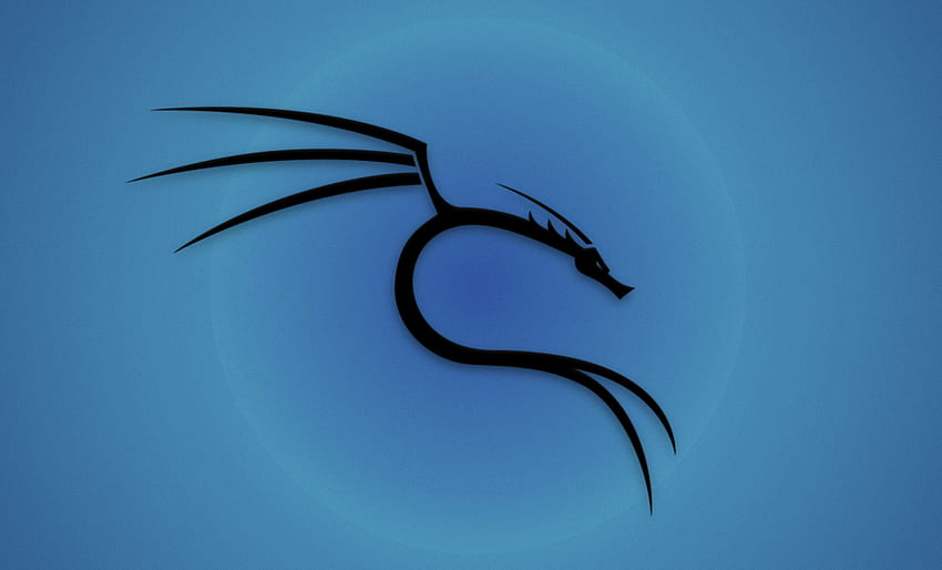 Wersja Kali Linux 2021.2, Kali Linux Windows Tapeta HD