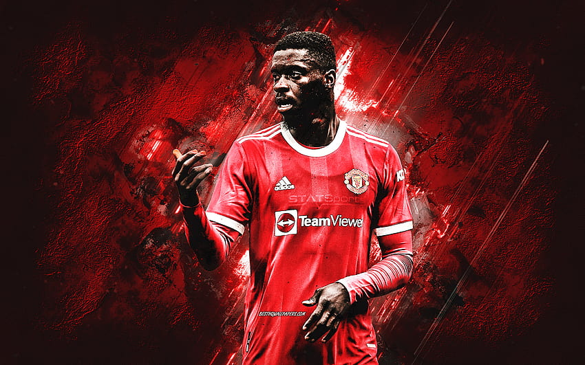 Axel Tuanzebe, Manchester United FC, English football player, portrait, red stone background, Premier League, England, football HD wallpaper