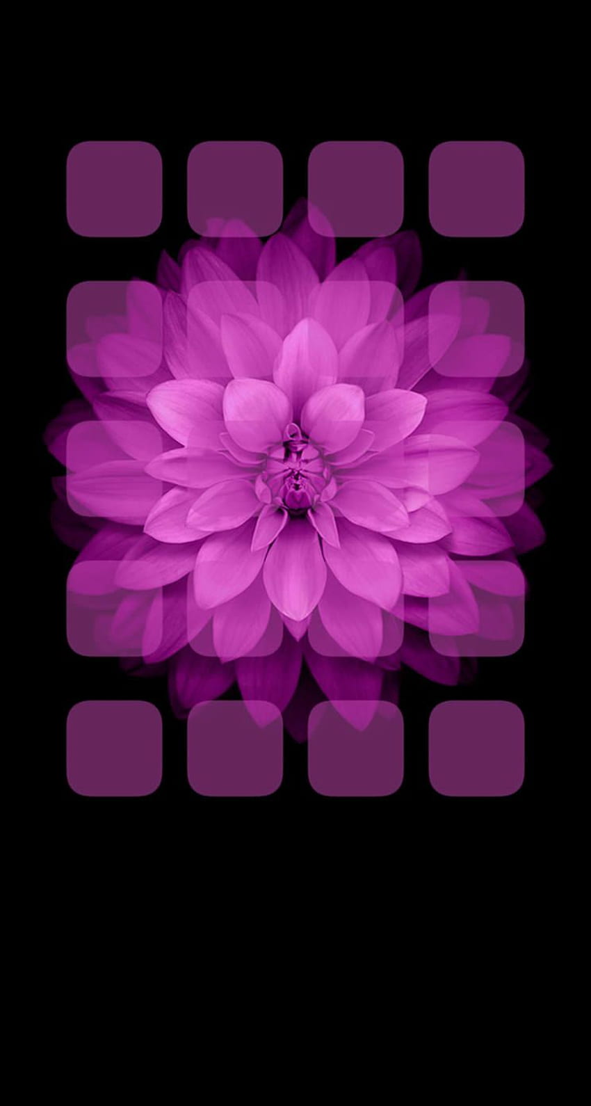 Plateau violet à fleurs noires. .sc iPhone5s, SE Fond d'écran de téléphone HD