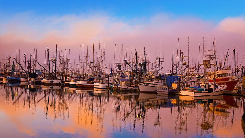 Perahu nelayan ditambatkan di Newport, Oregon - Bing Wallpaper HD
