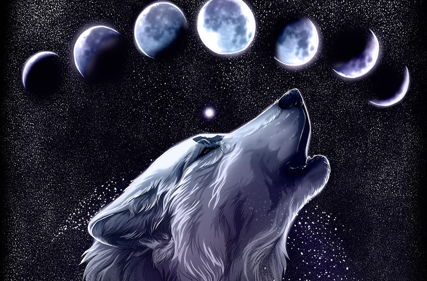 Spirit Wolf , Purple Spirit Wolf HD wallpaper