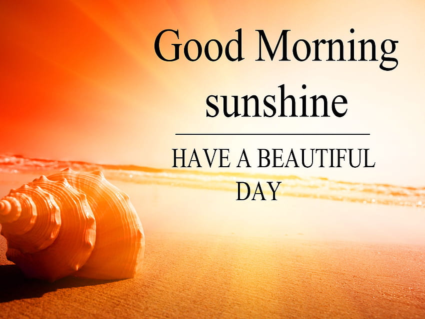 Good Morning My Sunshine Quotes