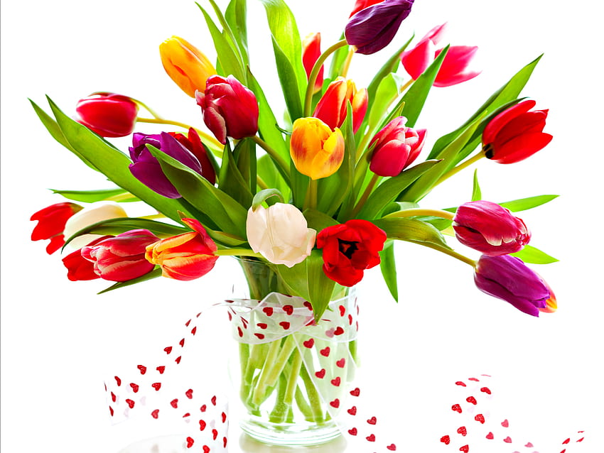 Lovely Tulips, bouquet, colors, spring, tulips, white tulip, sweet, white, white tulips, ribbon, vase, colorful tulips, still life, purple, pretty, with love, nature, romantic, yellow tulip, lovely, for you, colorful, tulip, graphy, yellow tulips, purple tulips, beauty, red tulips, purple tulip, spring time, colorful flowers, spring flowers, red tulip, beautiful, romance, red, yellow, flowers HD wallpaper