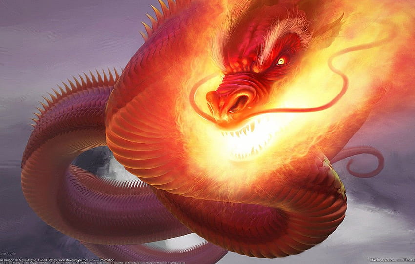 Dragon, Fire, CG , Steve Argyle, Fire Dragon, Snakes for , section фантастика, Fire Snake HD wallpaper