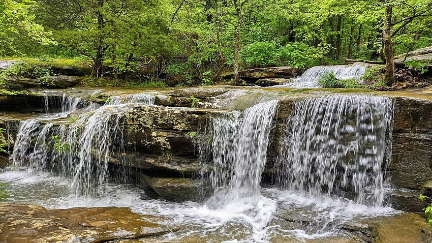 Burden Falls, Shawnee National Forest - Illinois, trees, river, rocks, cascade, usa HD wallpaper