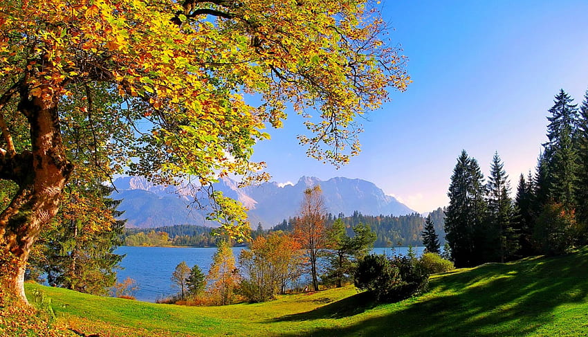 Barmsee, Bawaria, drzewa, jesień, piękny, trawa, Niemcy, góry, las, jezioro Tapeta HD