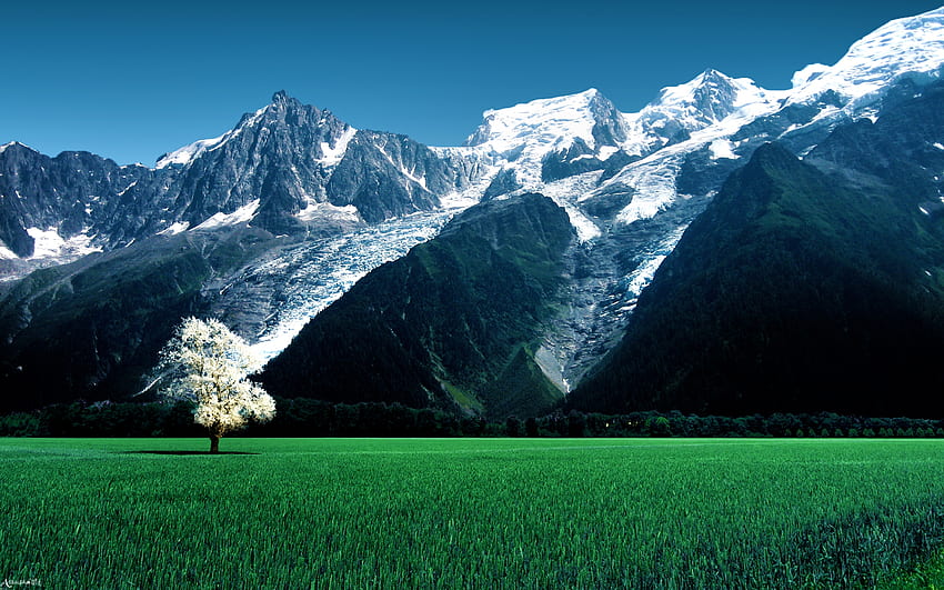 Snow Mountains, Snow, green, 2016, nature, grass, Mountains HD wallpaper