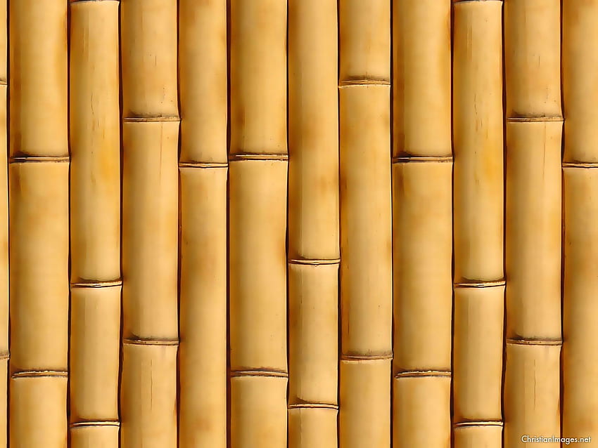 Класически бамбуков фон. Desain, Arsitektur, бамбуков модел HD тапет