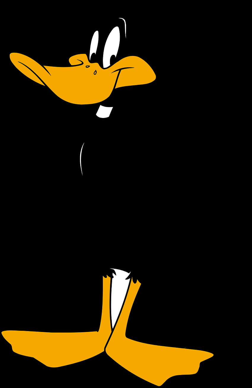 Daffy, Bugs Bunny Looney Tunes HD phone wallpaper