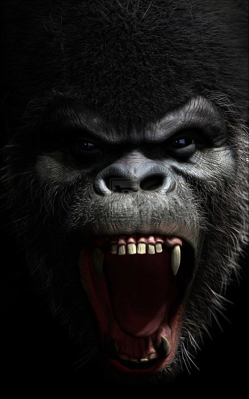 Gorila enojado, arte de gorila fondo de pantalla del teléfono