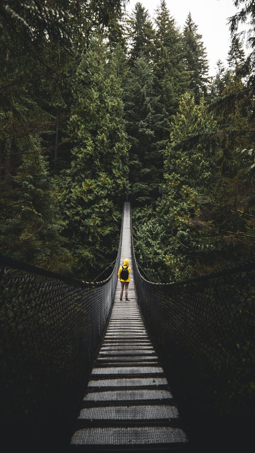 Bridge, walk, nature, explorer, tree, Natural Bridge HD phone wallpaper